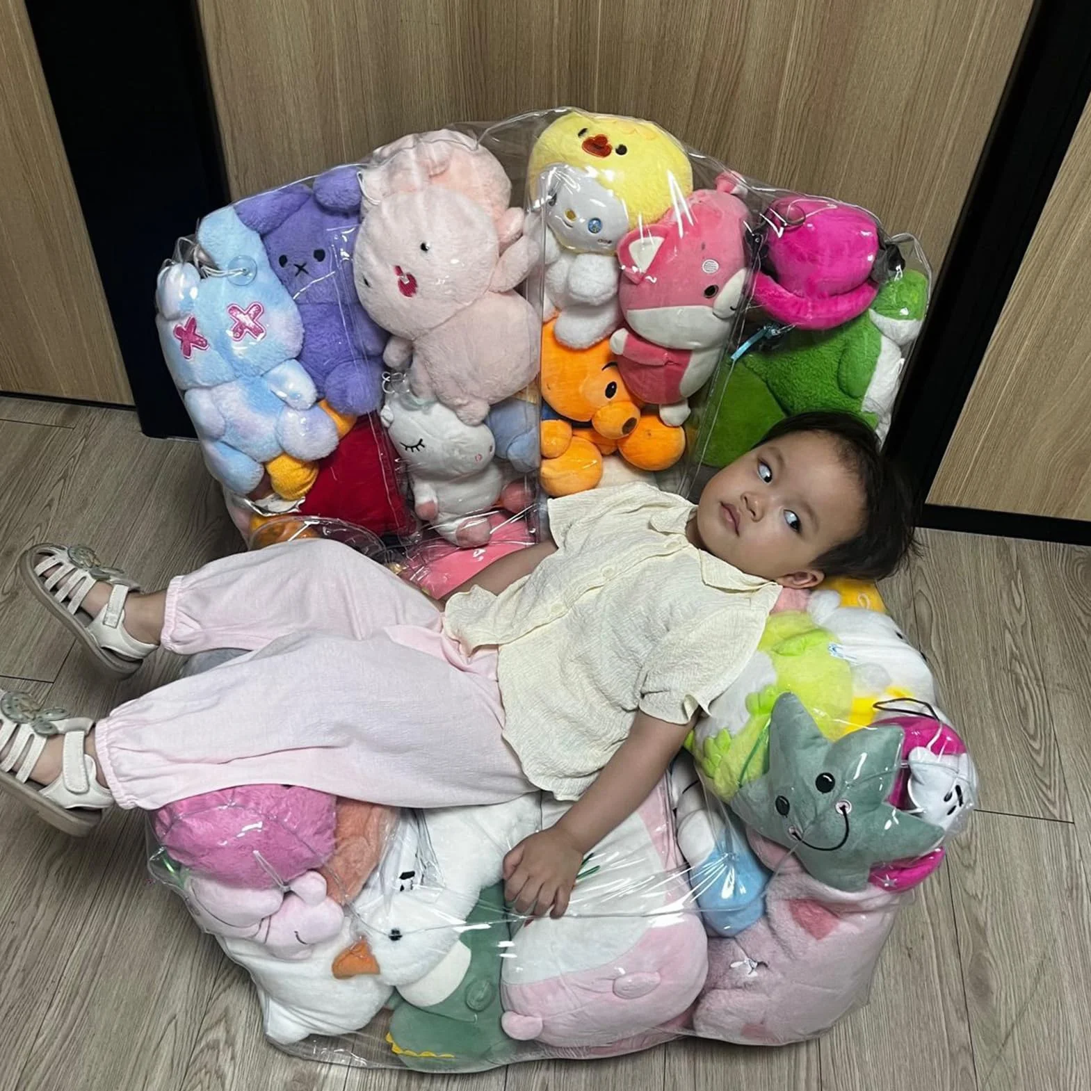 Saco De Almacenamiento Impermeable Transparente | Saco Con Cremallera Para Almacenar Peluches | Para Esquina De Sofá Dormitorio Habitación Suelo Sillón Para Adultos Y Niños