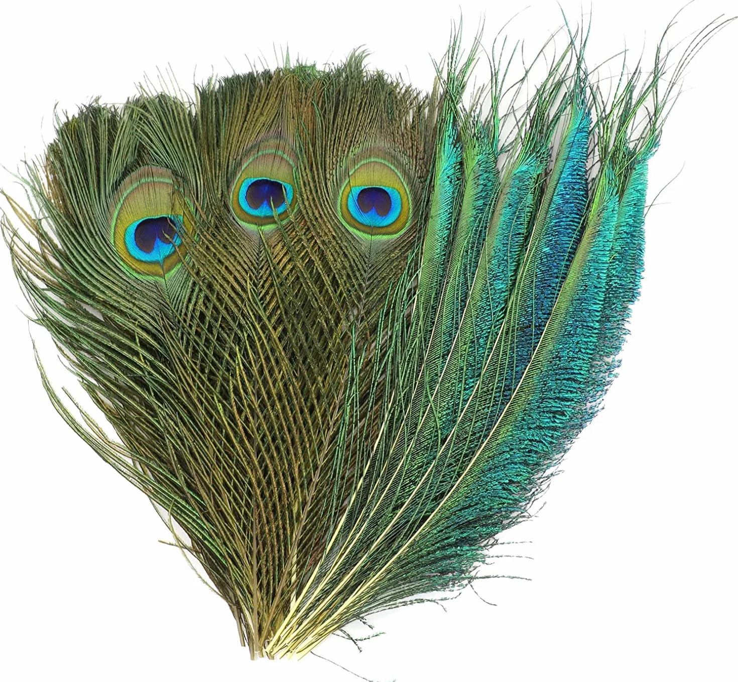 MWOOT 40 plumas decorativas de pavo real, naturales, para manualidades, adornos de 20-25 cm, ideales para ceremonias y fiestas de temporada, accesorios de decoración