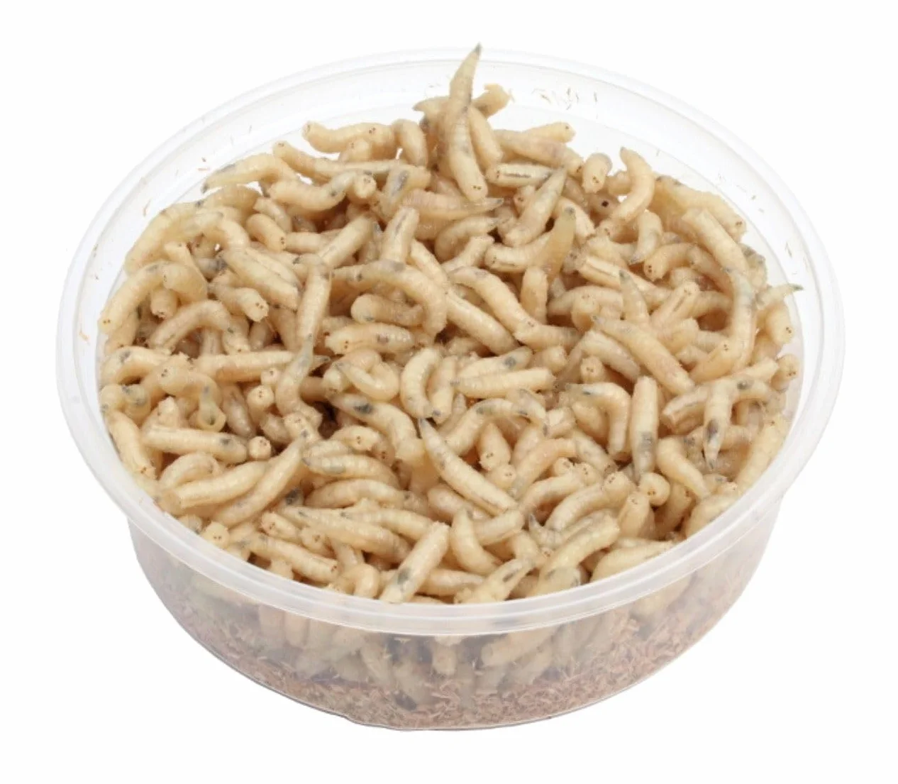 Señuelos de pesca de gusanos 2 latas 125 ml