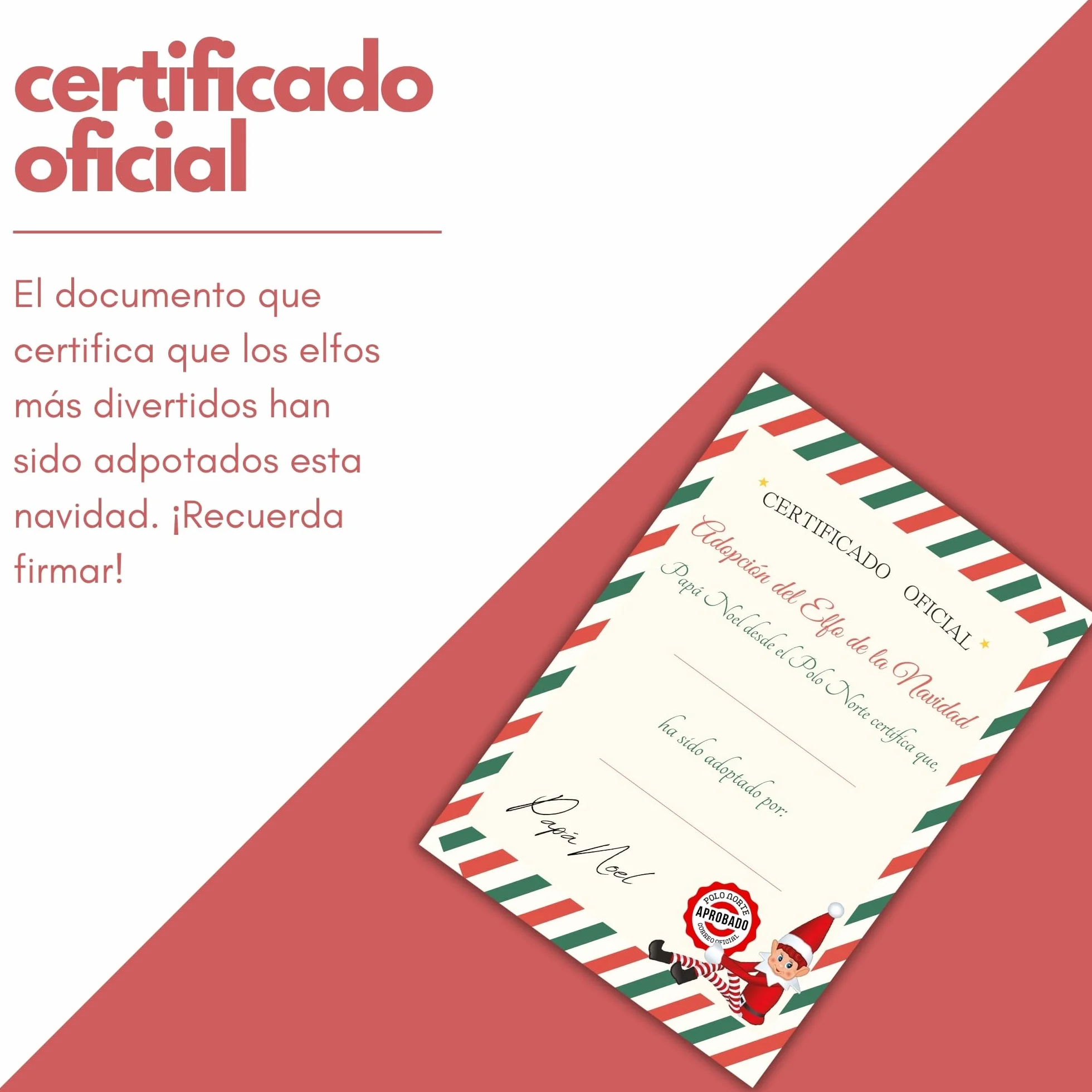 Peluchilandia Elfos Traviesos Navidad con Certificado de Adopción en Caja Regalo Personalizable Ideales para Niños | Duende Navidad Travieso para Jugar y Decorar (Pack 1 Elfo)