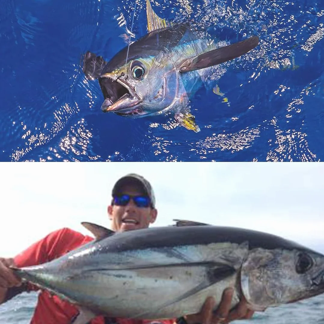KYLOS Anzuelos De Pesca 100 Pcs 10 Tamaños Acero Al Carbono 3#-12# Caja Plástico