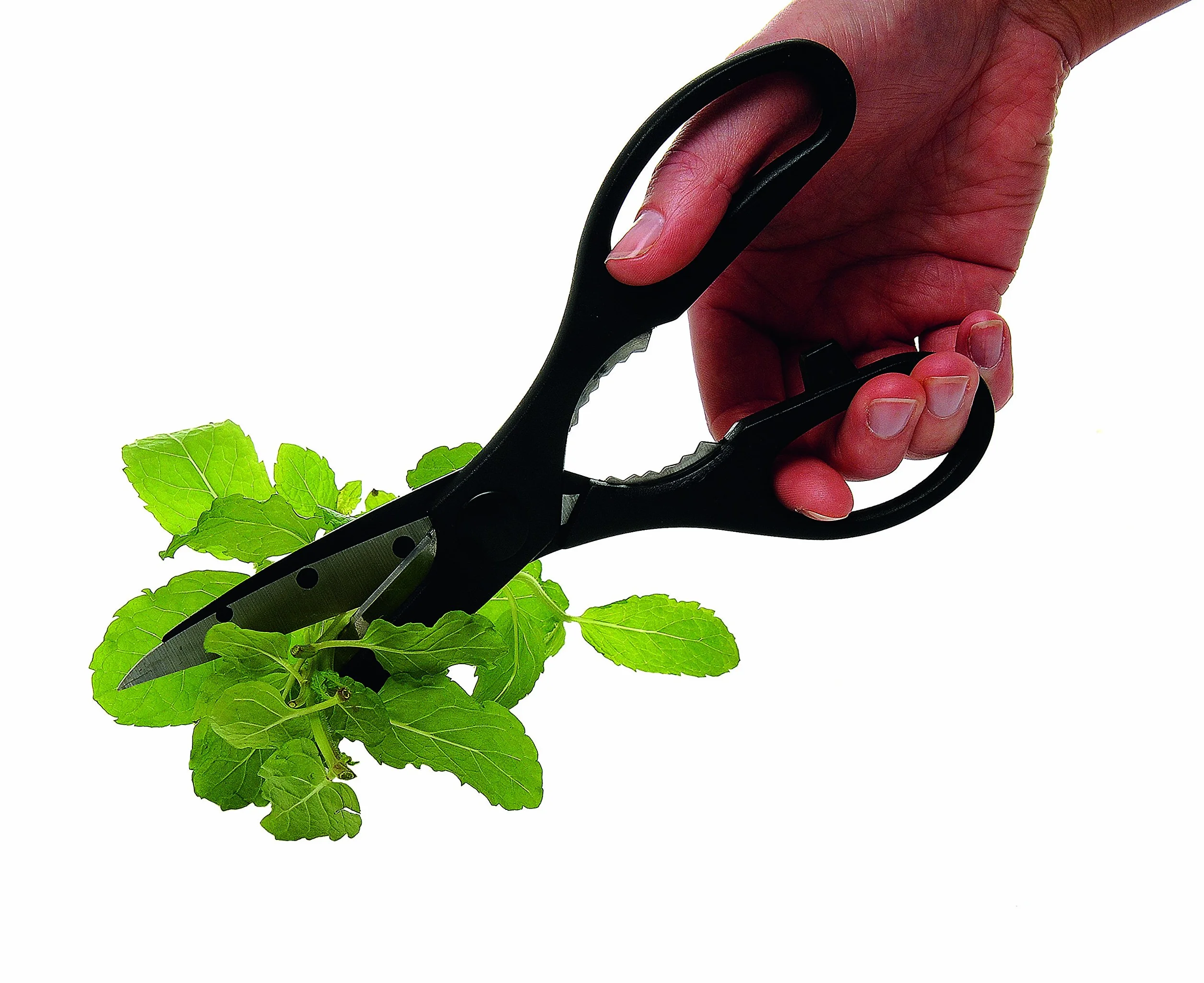 Kitchen Craft Tijeras Multiusos de 21 cm, Acero Inoxidable, Negro (Black)