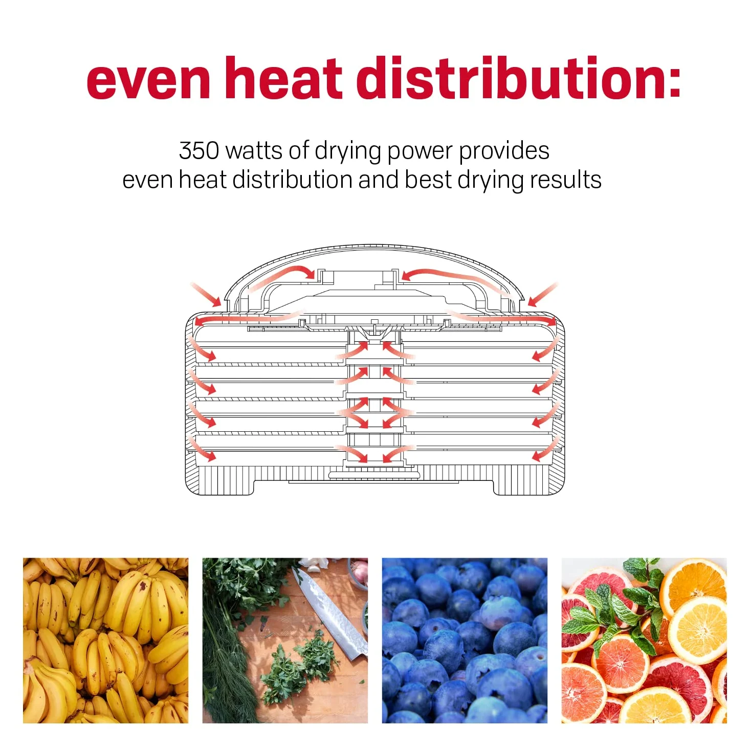 Nesco FD-28JX 350W Blanco secador de fruta - Deshidratador de fruta (350 W)
