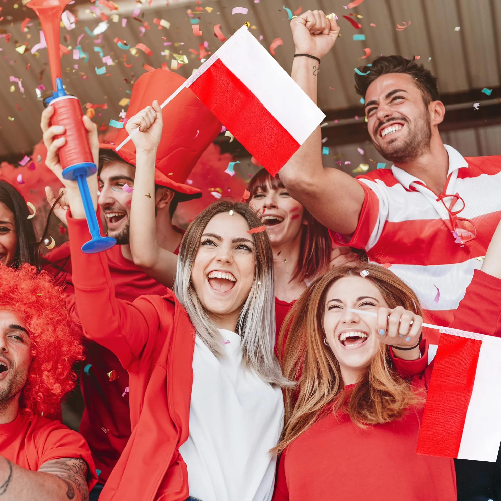 Banderas Pequeñas de Polonia con Palo 10 Piezas Mini Bandera Polaca de Mano para Mundial Fútbol 2026 Fiesta Nacional