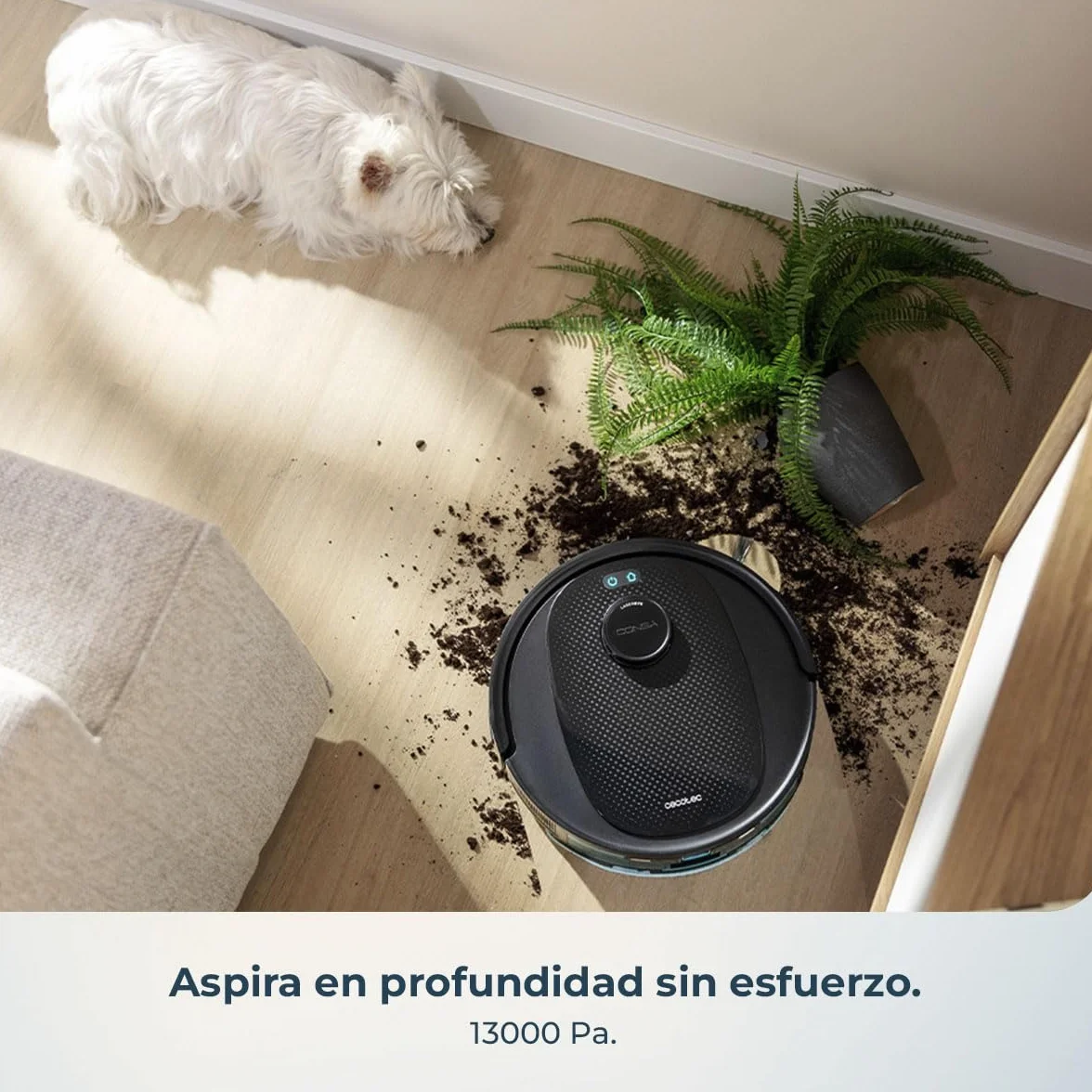 Cecotec Robot Aspirador y Friegasuelos con Base de Autovaciado e IA Conga Y80 X-Treme. Navegación Láser e Inteligencia Artificial, 13000Pa, Base de 2.5L, Autonomía hasta 220m², Control App 3.0