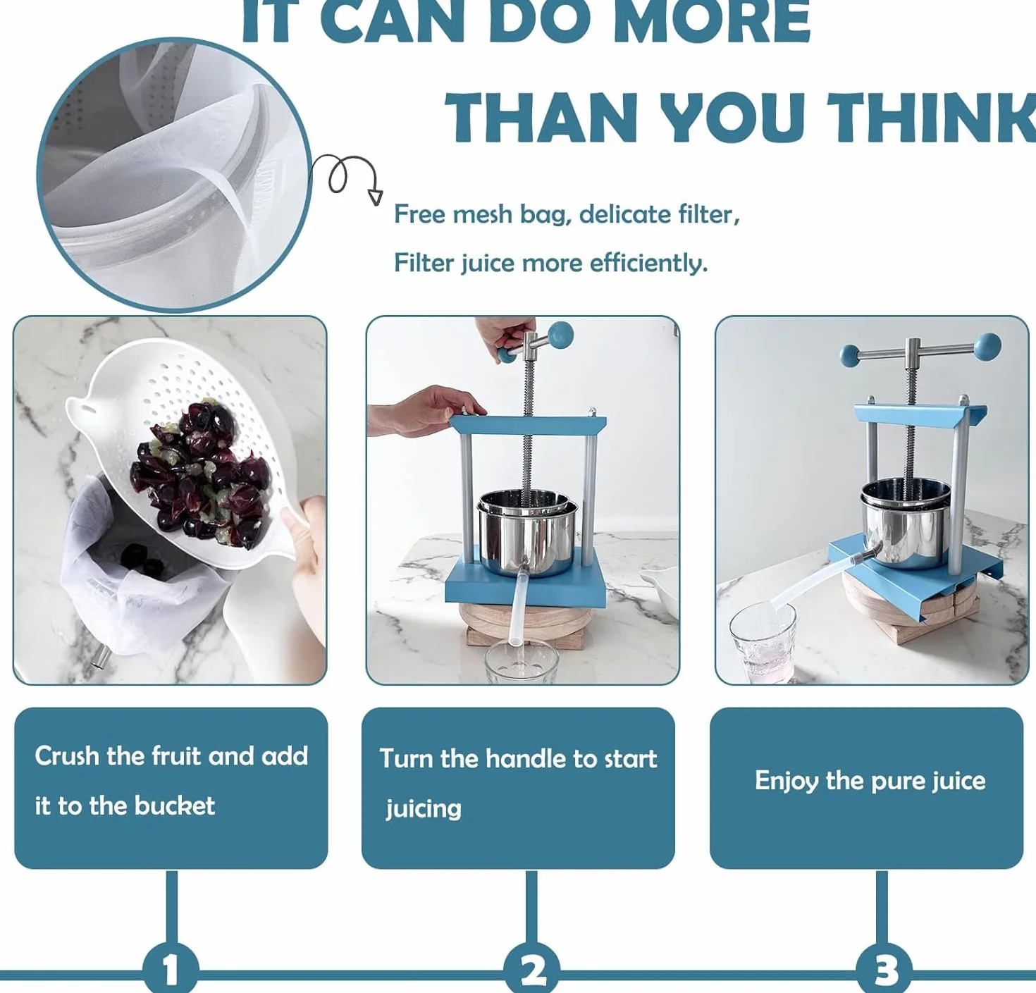 SQUEEZE master Prensa de frutas de 6 litros, queso tintura hierbas frutas blandas prensa manual jugo, acero inoxidable y hierro para jugo, aceite de oliva