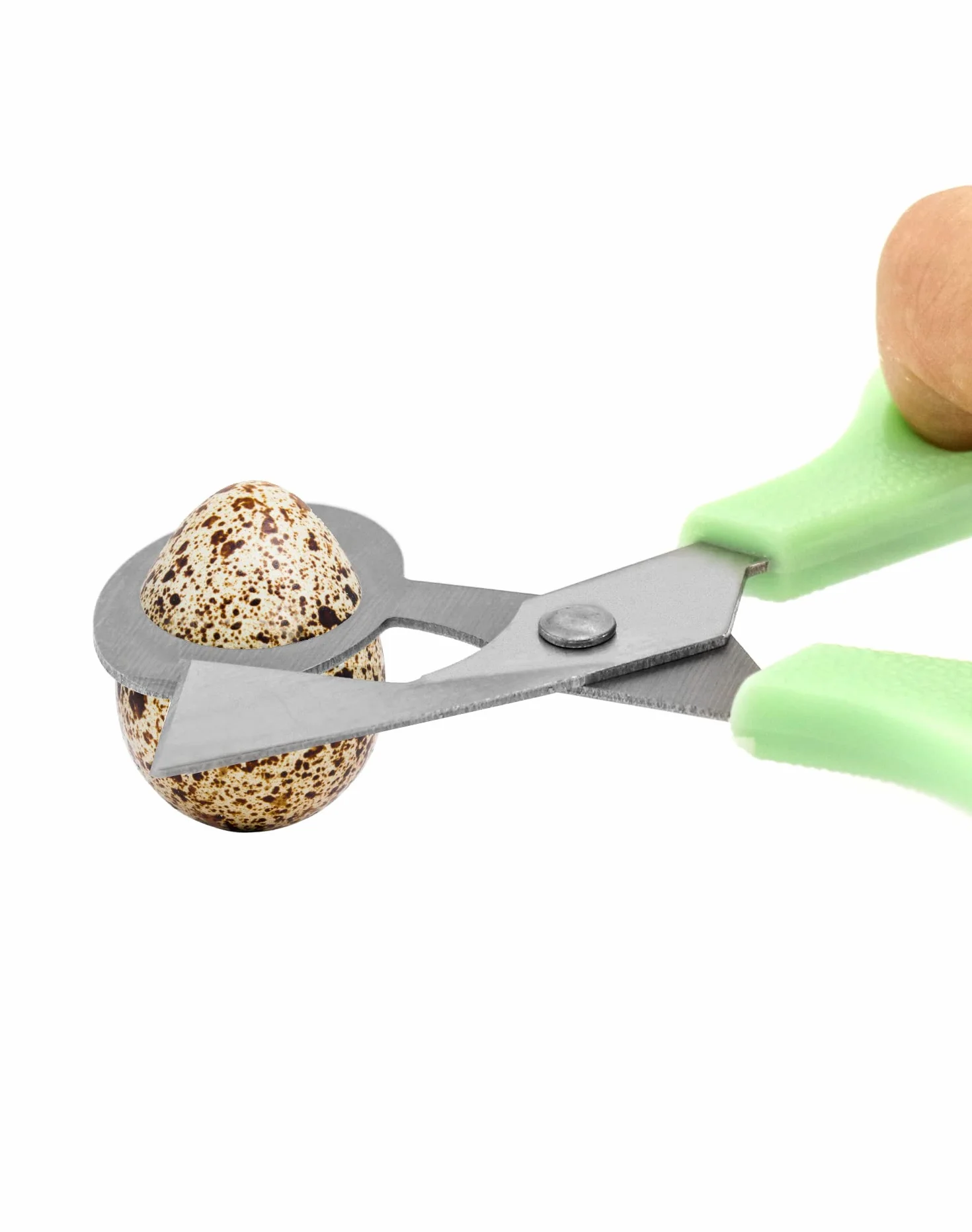 QWORK® 4 Pzs Tijeras Abre Huevos, Casca de Acero Inoxidable para Codorniz, Hogar y Cocina
