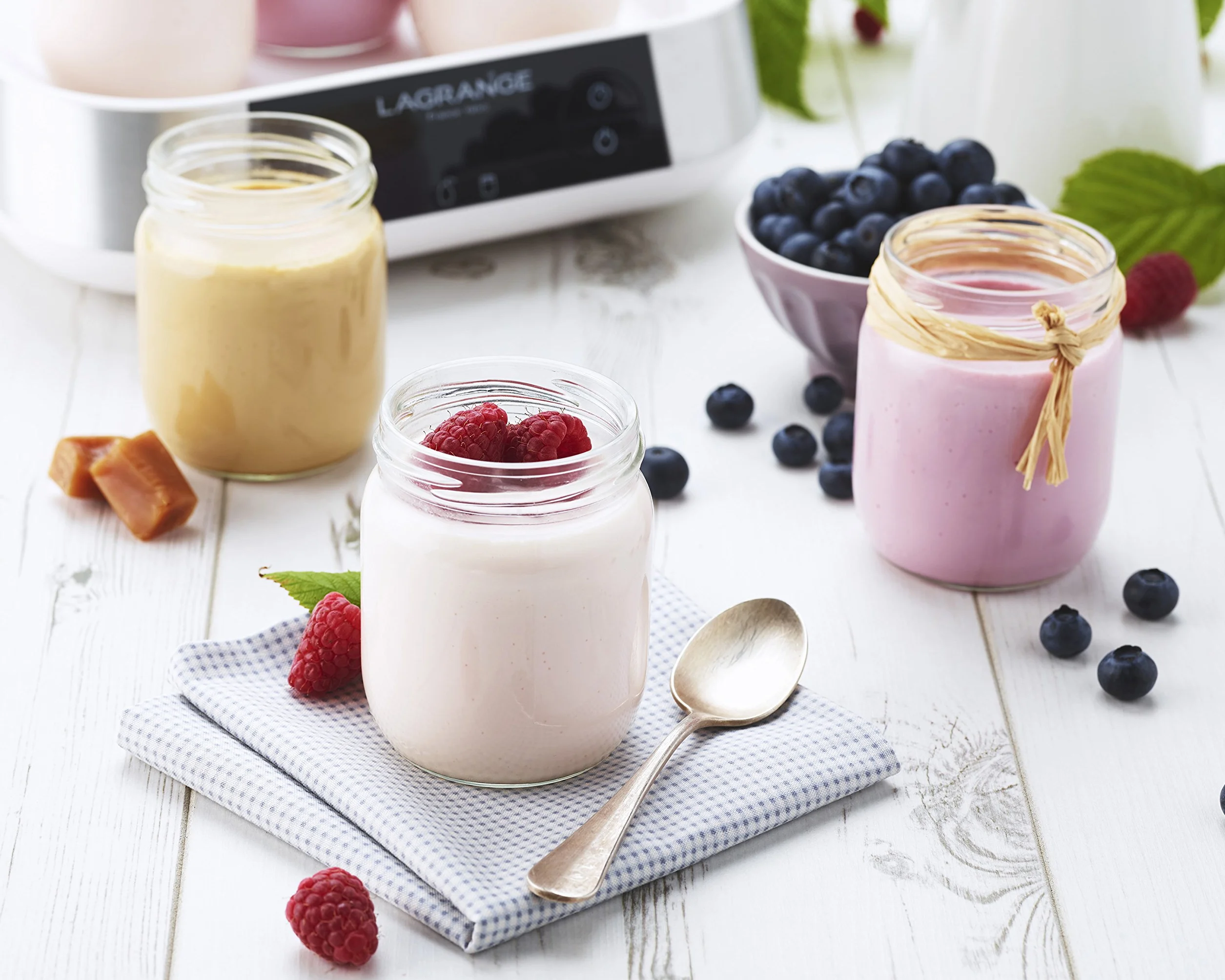 LAGRANGE, yogurtera línea, fabricación francesa, 9 tarros de cristal, 1,5L, programable, apagado automático, señal sonora, 18 W, 459002