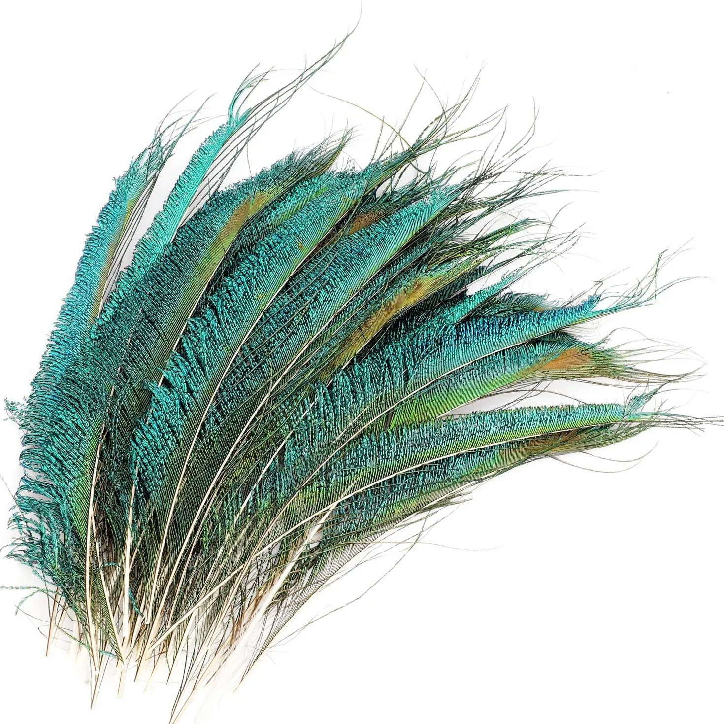 MWOOT 40 plumas decorativas de pavo real, naturales, para manualidades, adornos de 20-25 cm, ideales para ceremonias y fiestas de temporada, accesorios de decoración