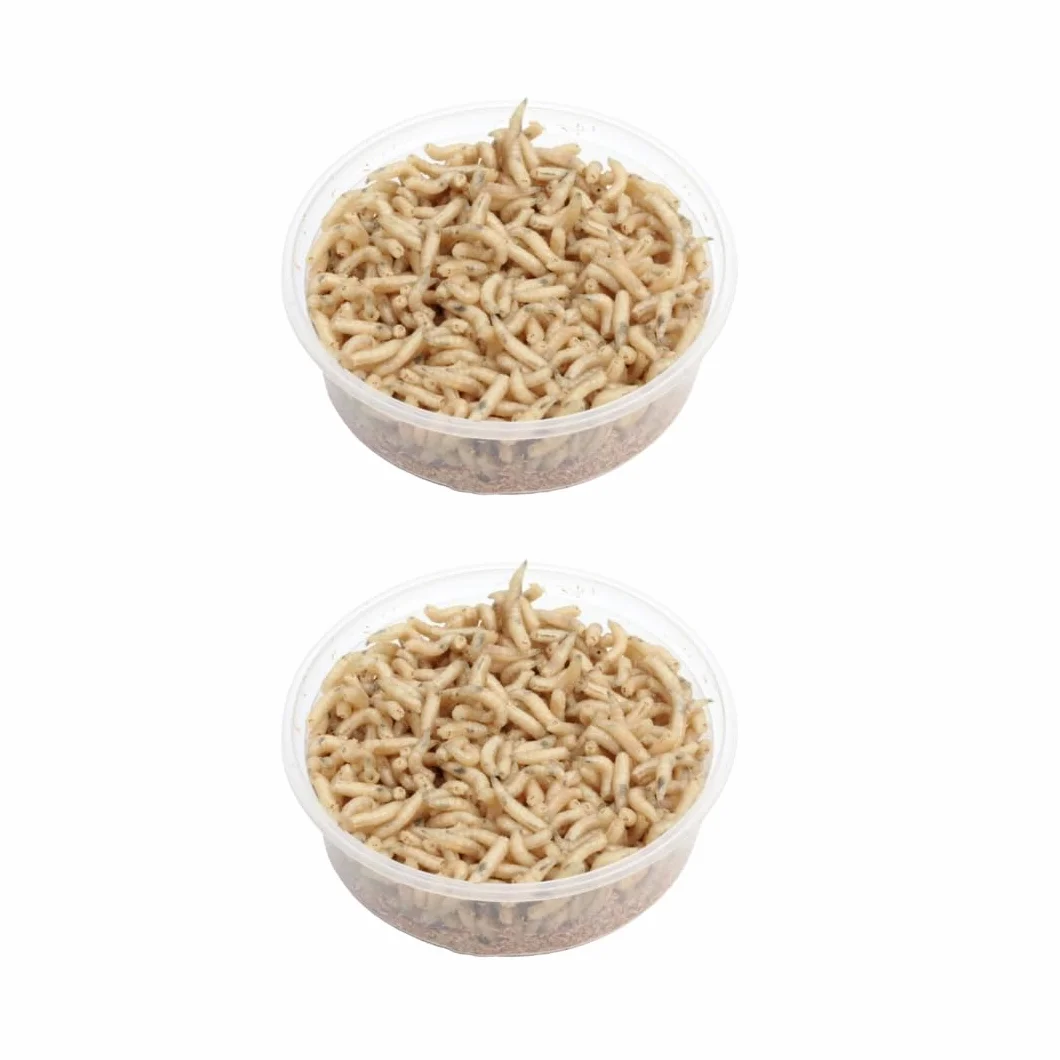 Señuelos de pesca de gusanos 2 latas 125 ml
