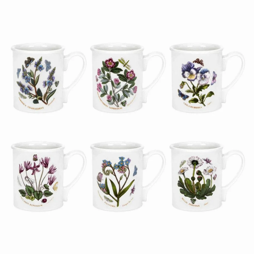 Portmeirion Botanic Garden - Taza de desayuno de 255 ml (6 unidades)