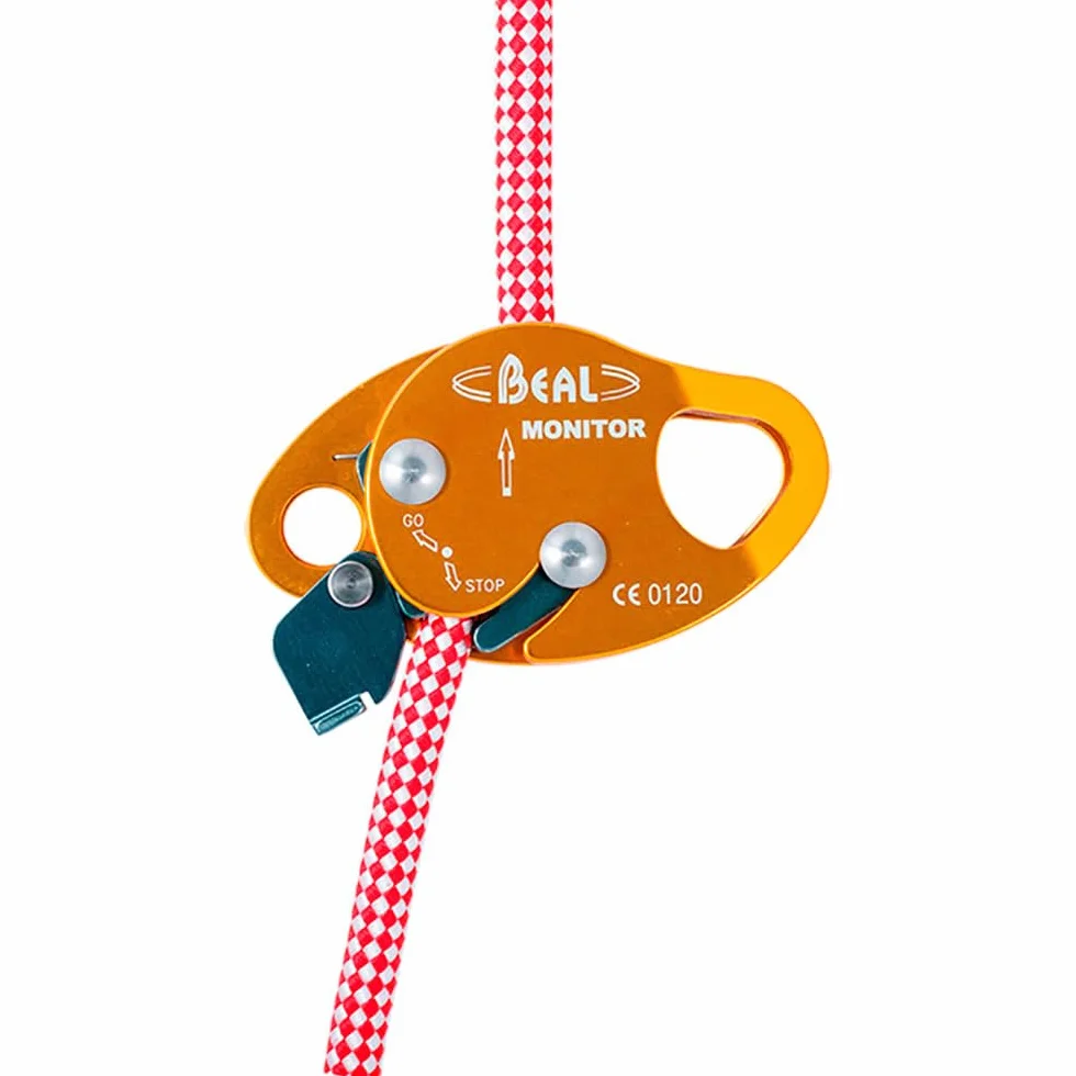 Beal Monitor