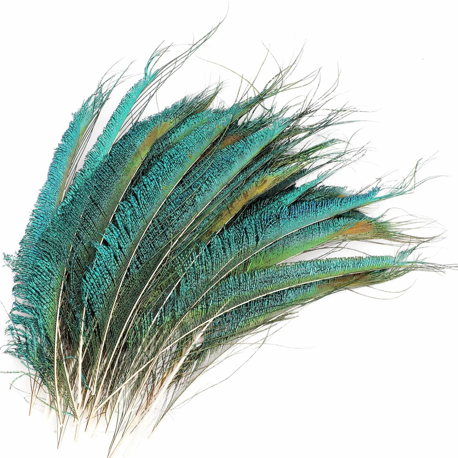 Mwoot 30pcs Natural Pavo Real Plumas de espada, Plumas de Pavo Real para la decoración del hogar DIY Jewelry Party Arte (25-35CM)