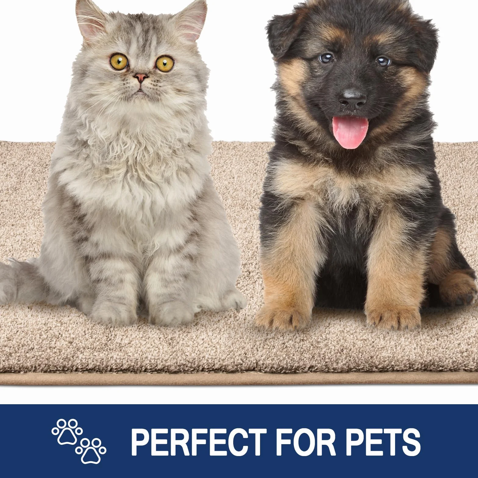 FCSDETAIL Alfombra Atrapapolvo, Alfombra Antideslizante Lavable en Lavadora, Felpudo de Entrada con Microfibras Suaves Absorbentes para Perro, Entrada, Puerta y Pasillo