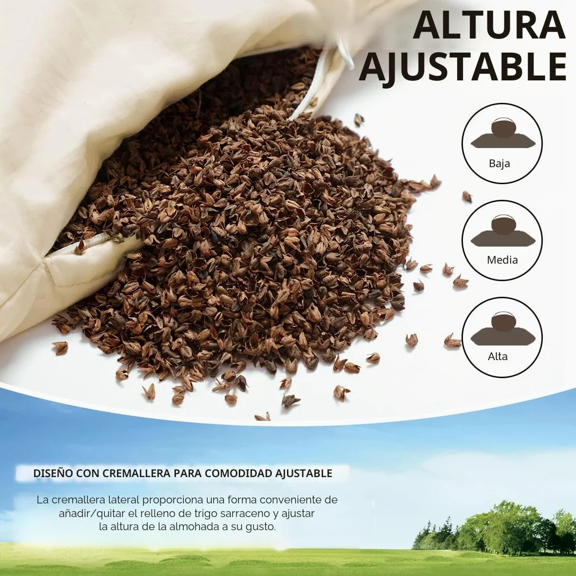 LOFE Almohada orgánica de Trigo sarraceno para Dormir, 14 x 20 Pulgadas, Loft Ajustable, Transpirable para un sueño Fresco, Apoyo Cervical para Personas Que Duermen Boca Arriba y de Lado (cáscaras de